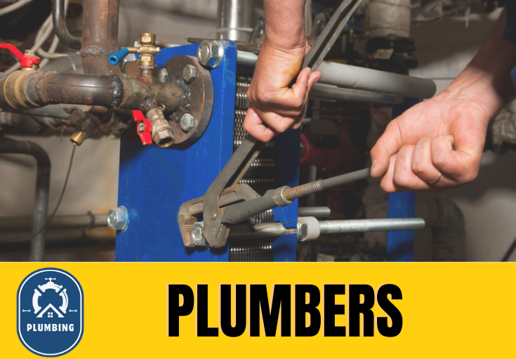  plumber Higham Wood